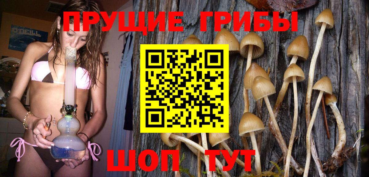 Псилоцибиновые грибы ЛСД Севастополь